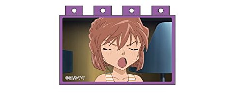 Amazon.co.jp: 名探偵コナン アニメブロック 灰原がいっぱい